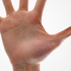 Illustration for article titled Judge rules that you can be fired for Liking the wrong thing on Facebook